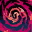 Force Storm Force Storm