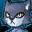 Summon Kai the Cat Summon Kai the Cat